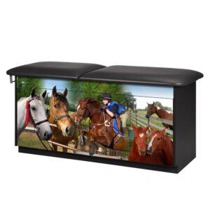Equestrian Treatment Table