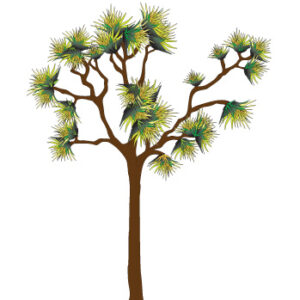 Joshua Tree Wall Sticker